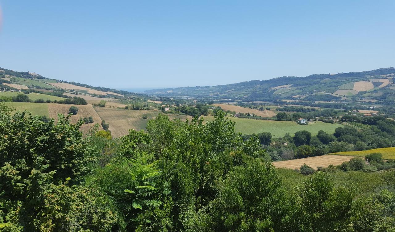 Il Piccolo Carro Apartments Monterubbiano Zewnętrze zdjęcie